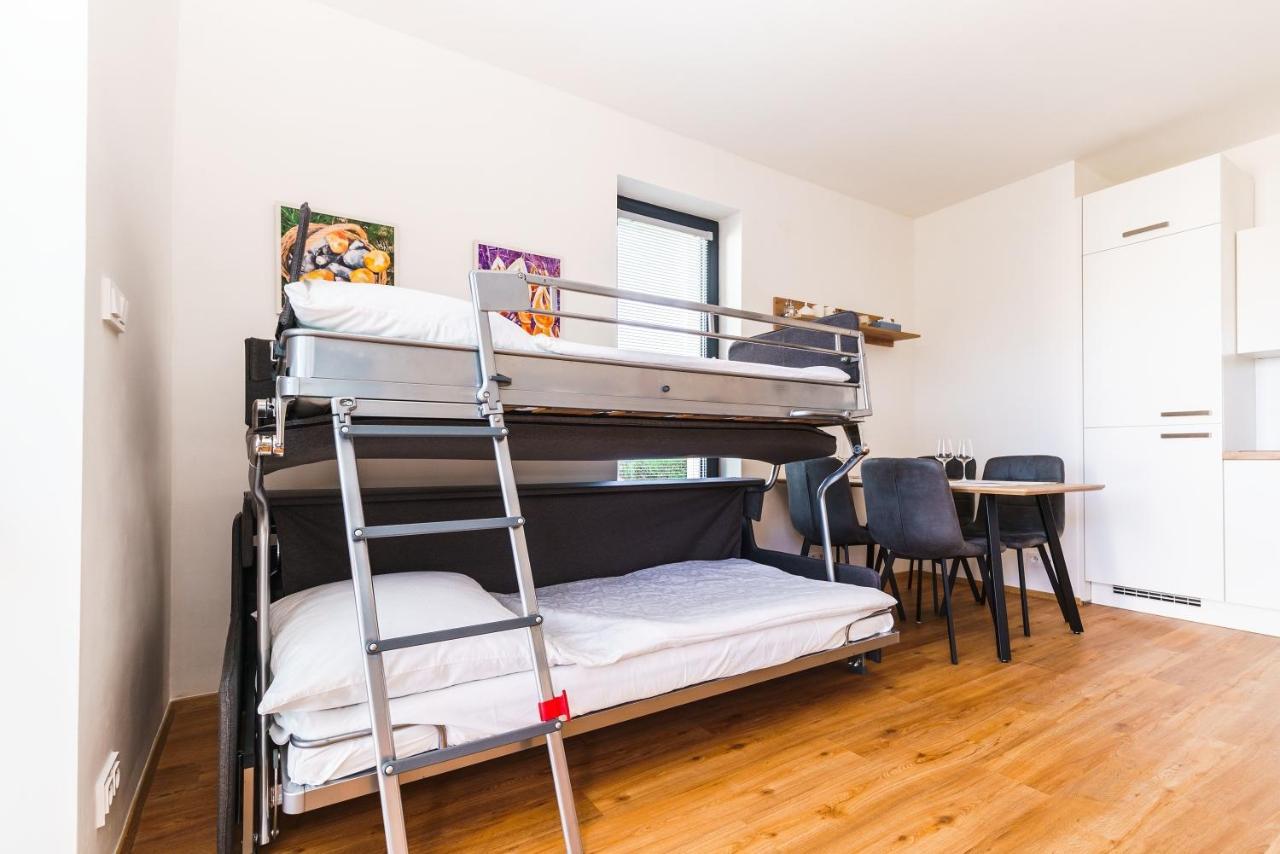 Horsky Apartman Temari 6 Klinovec Loucna pod Klinovcem Luaran gambar